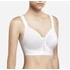 BASIC - XL