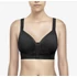 BASIC - XL